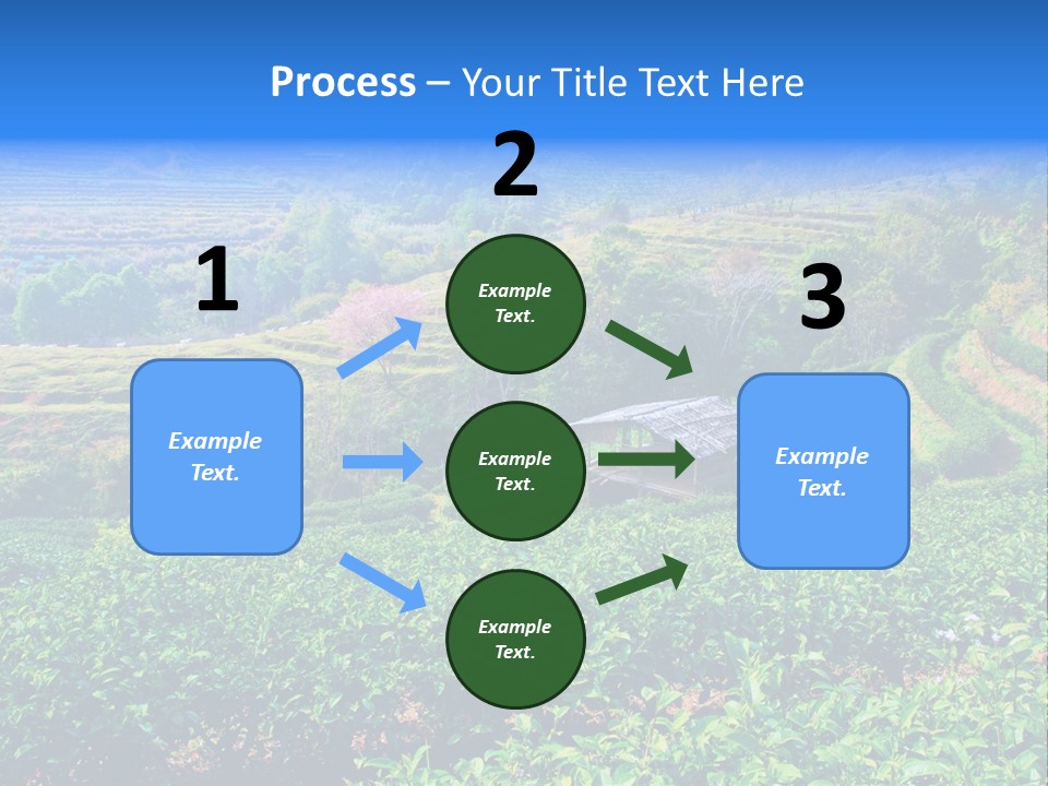 A House In The Middle Of A Green Field PowerPoint Template