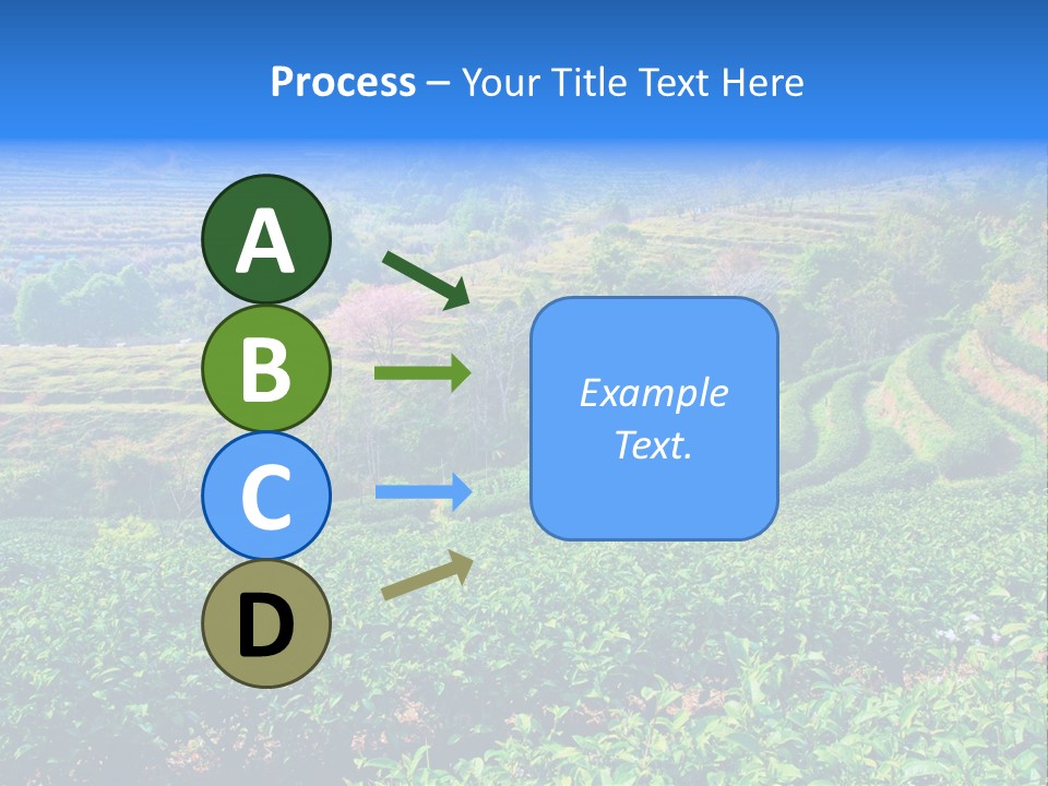 A House In The Middle Of A Green Field PowerPoint Template