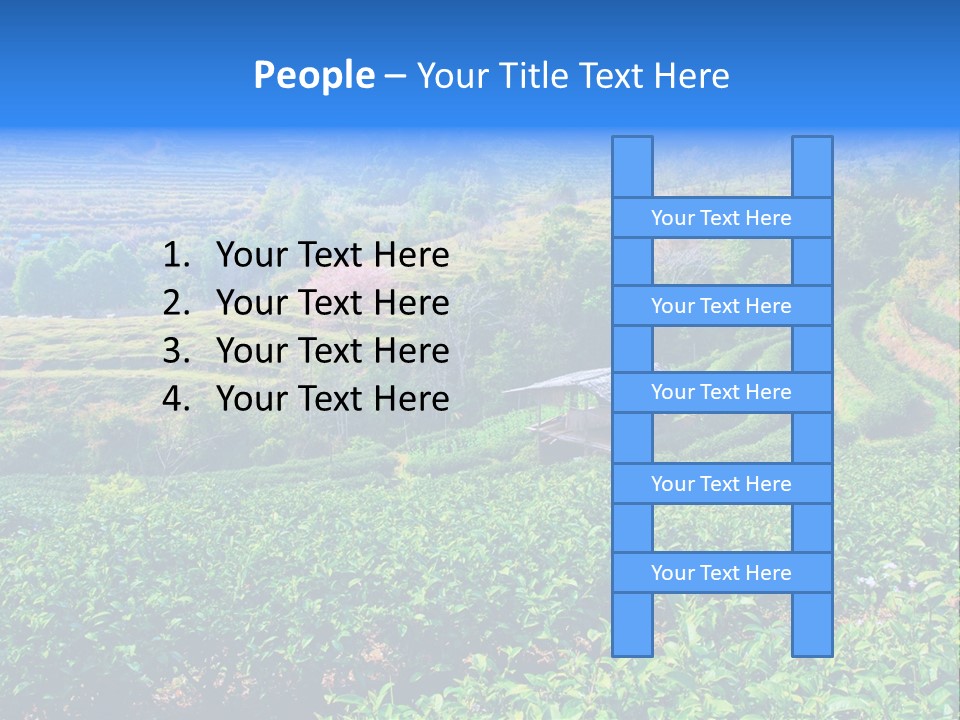 A House In The Middle Of A Green Field PowerPoint Template