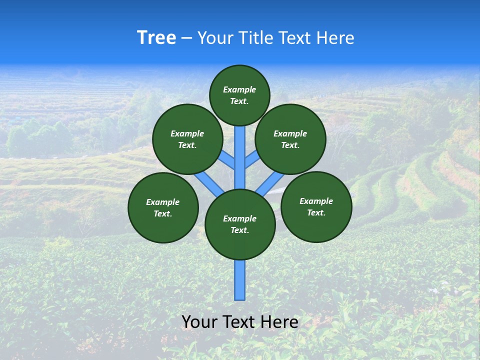 A House In The Middle Of A Green Field PowerPoint Template