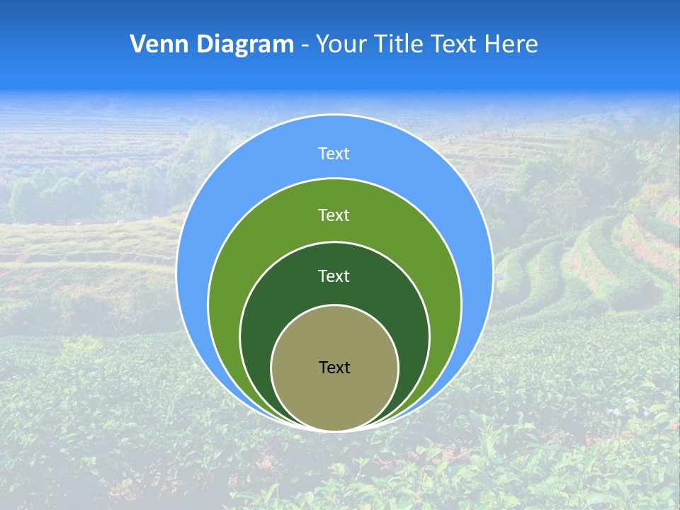 A House In The Middle Of A Green Field PowerPoint Template