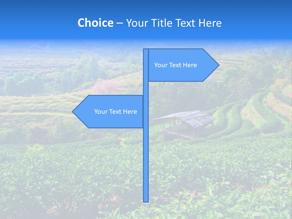A House In The Middle Of A Green Field PowerPoint Template