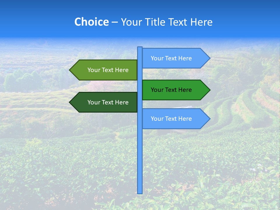 A House In The Middle Of A Green Field PowerPoint Template