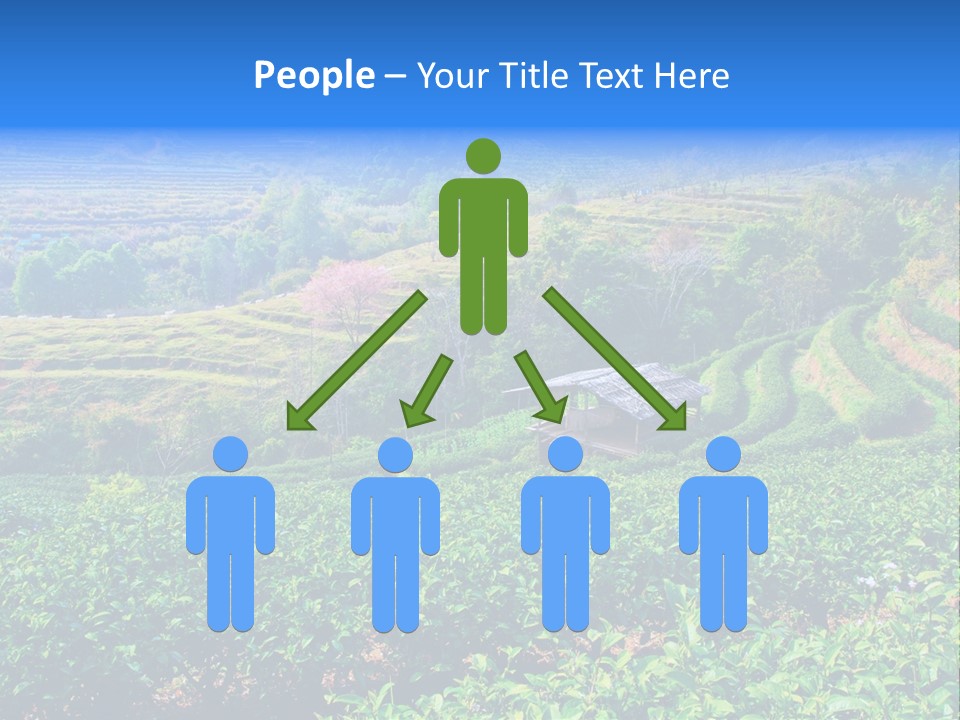 A House In The Middle Of A Green Field PowerPoint Template