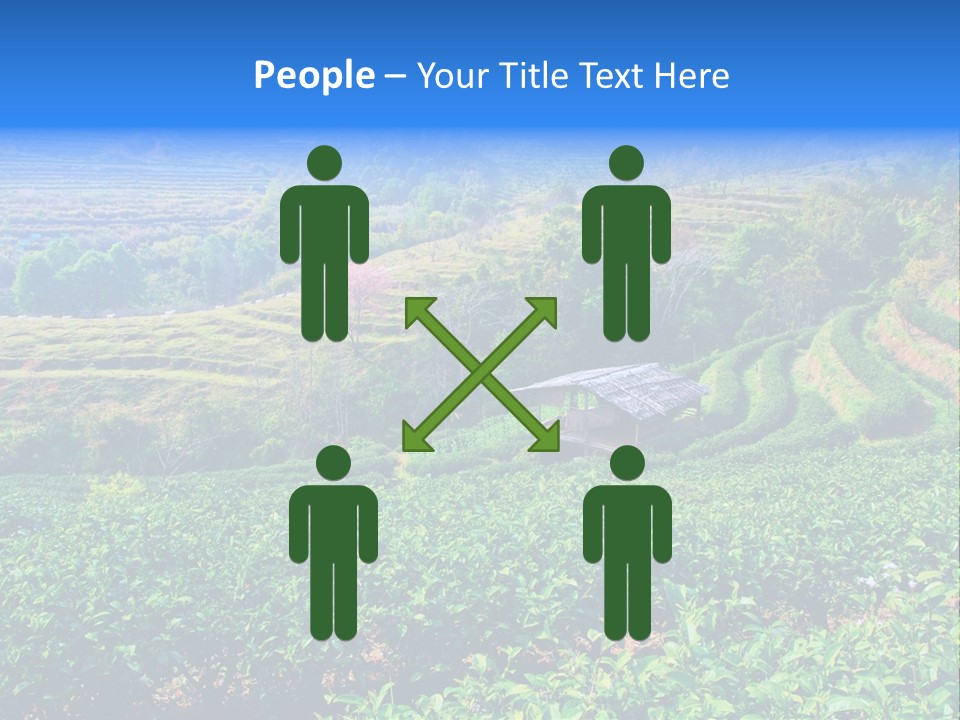 A House In The Middle Of A Green Field PowerPoint Template