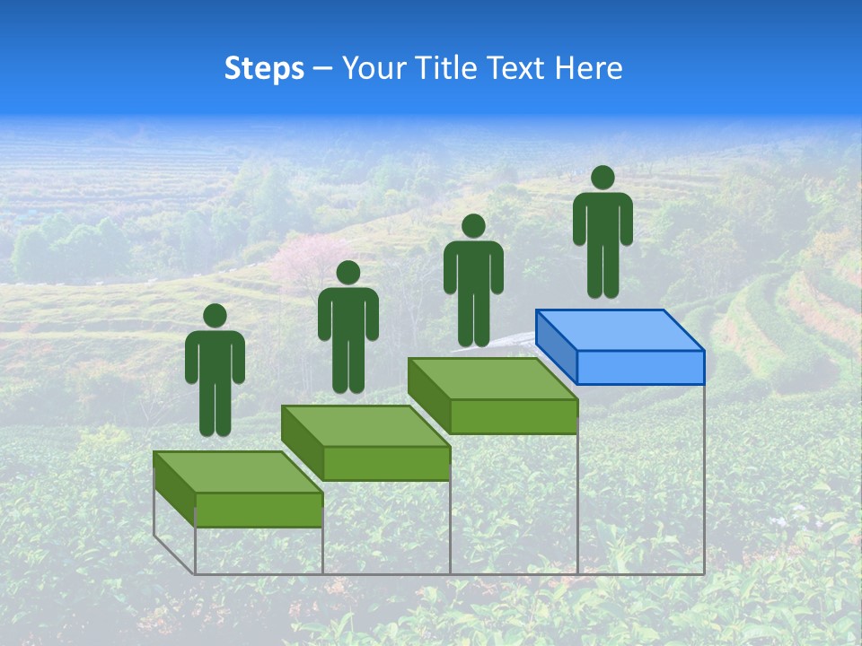 A House In The Middle Of A Green Field PowerPoint Template