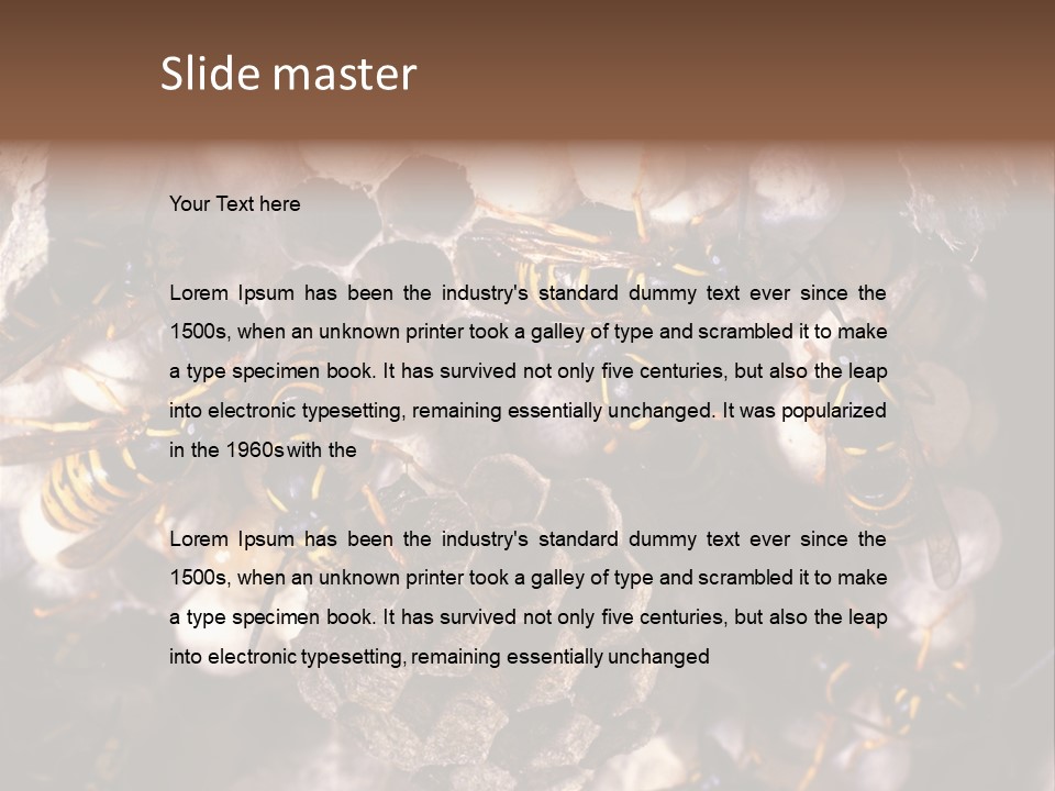 Paris Spring Surfing PowerPoint Template