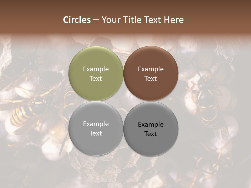 Paris Spring Surfing PowerPoint Template