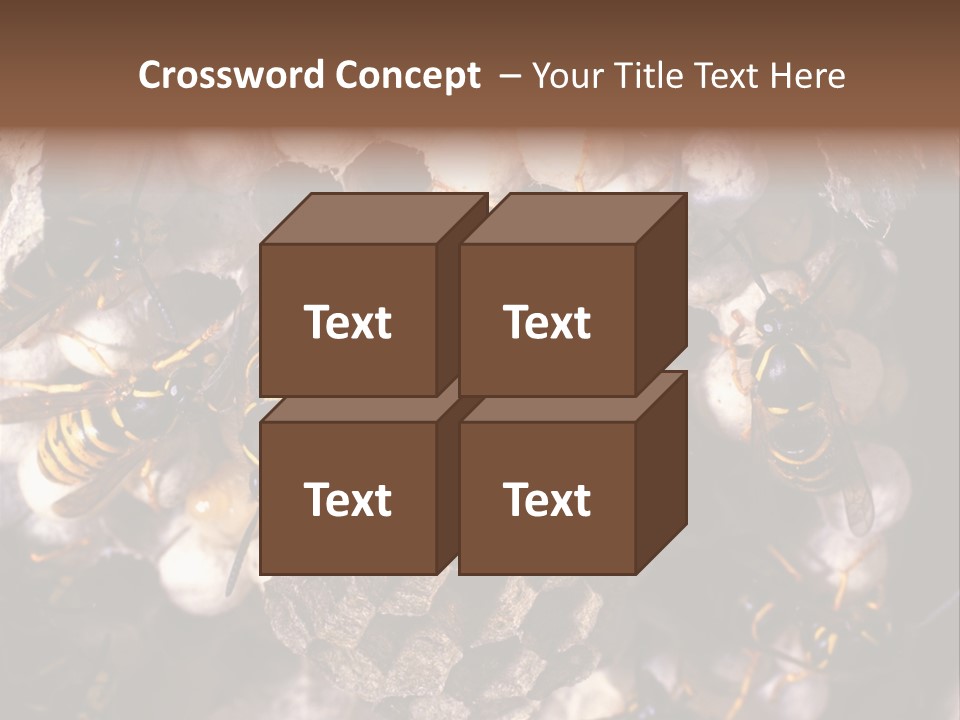 Paris Spring Surfing PowerPoint Template