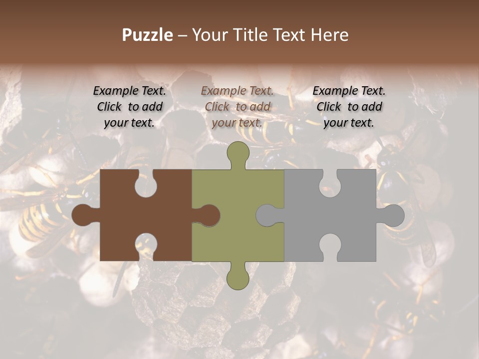 Paris Spring Surfing PowerPoint Template