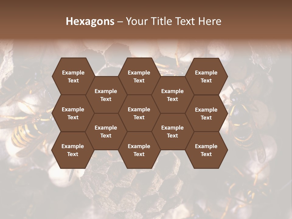 Paris Spring Surfing PowerPoint Template