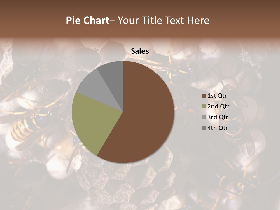 Paris Spring Surfing PowerPoint Template