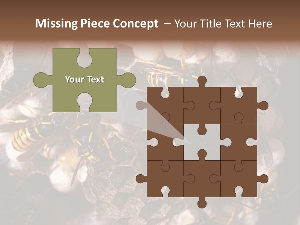 Paris Spring Surfing PowerPoint Template