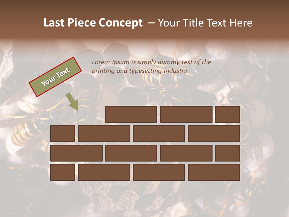 Paris Spring Surfing PowerPoint Template