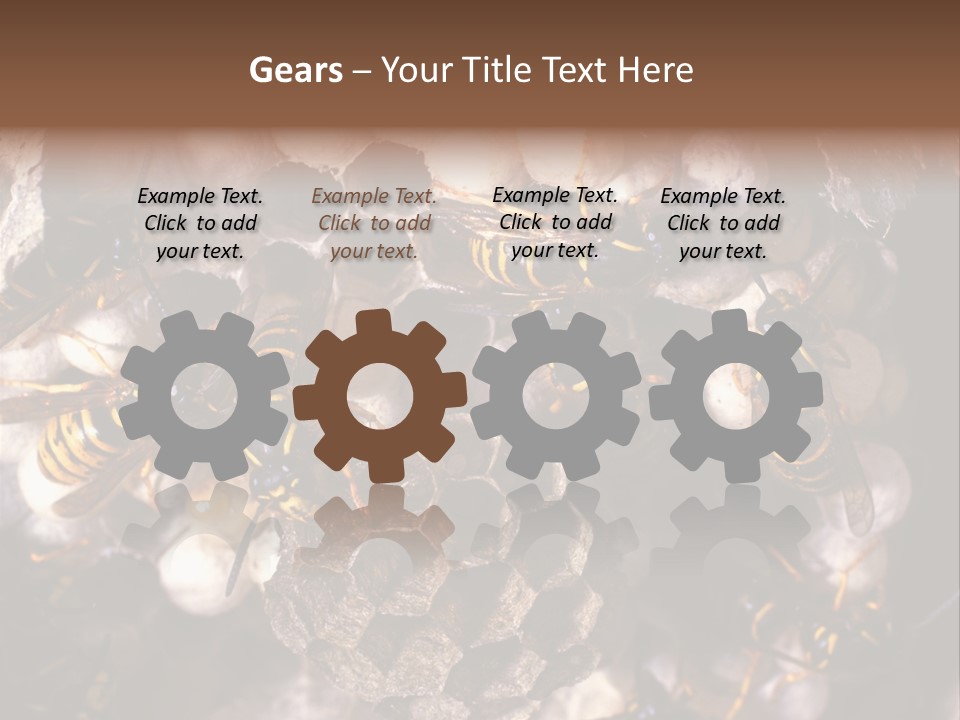 Paris Spring Surfing PowerPoint Template