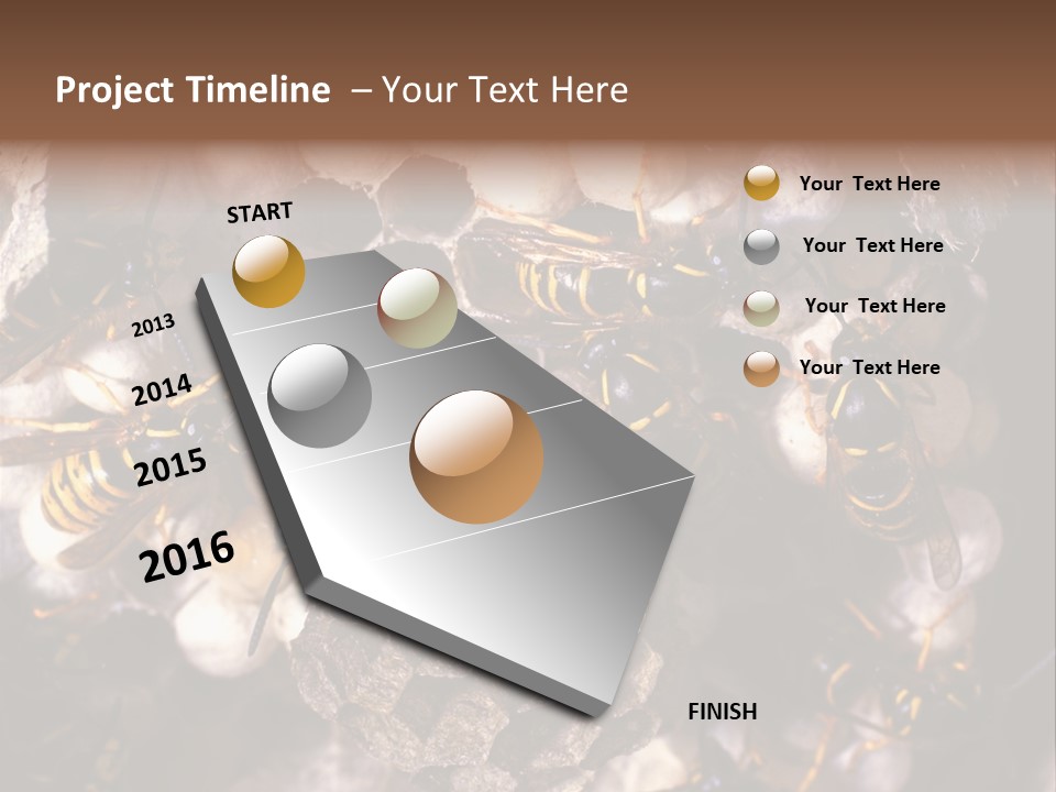 Paris Spring Surfing PowerPoint Template