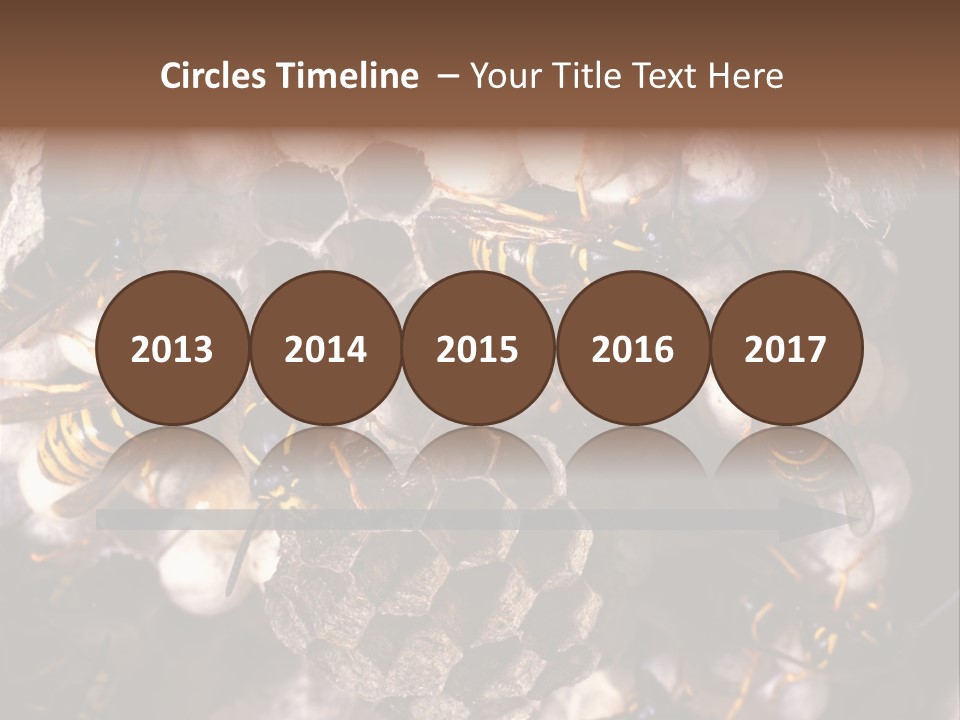 Paris Spring Surfing PowerPoint Template