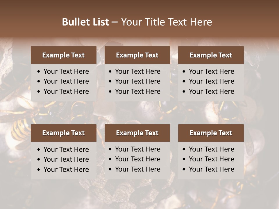 Paris Spring Surfing PowerPoint Template