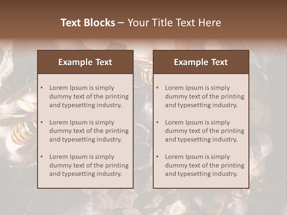 Paris Spring Surfing PowerPoint Template