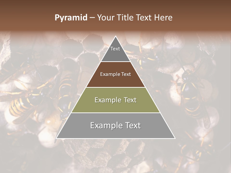 Paris Spring Surfing PowerPoint Template