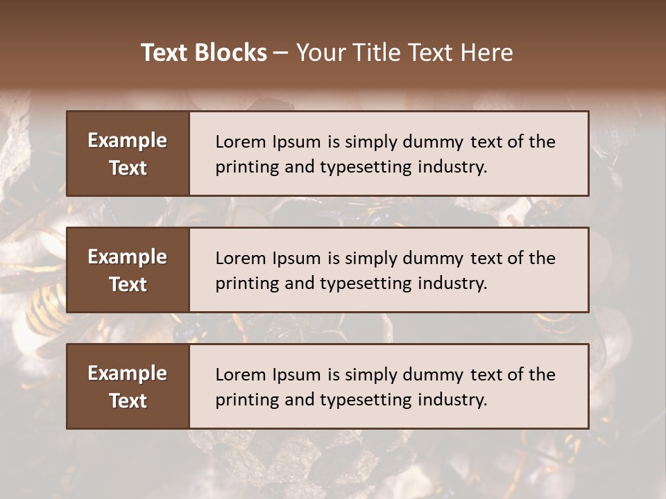 Paris Spring Surfing PowerPoint Template