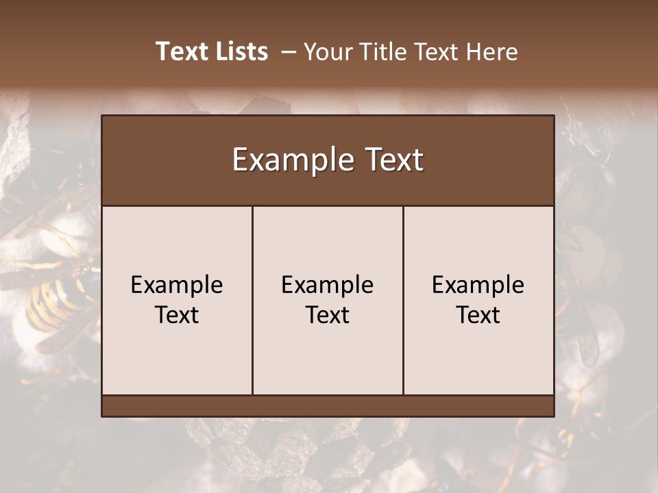 Paris Spring Surfing PowerPoint Template