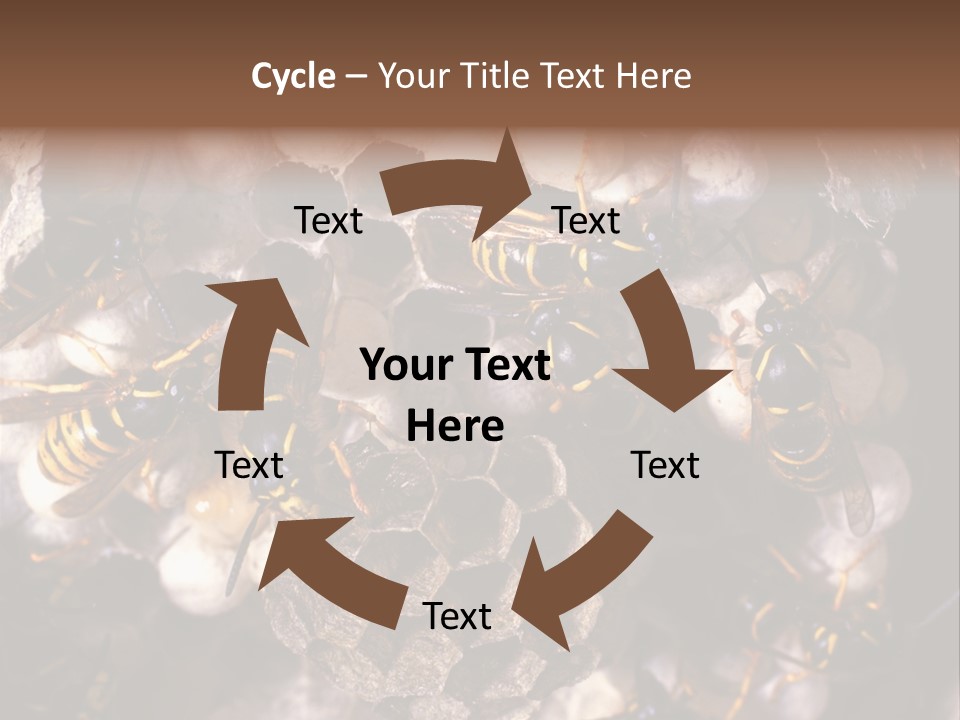 Paris Spring Surfing PowerPoint Template