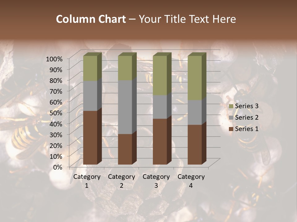 Paris Spring Surfing PowerPoint Template