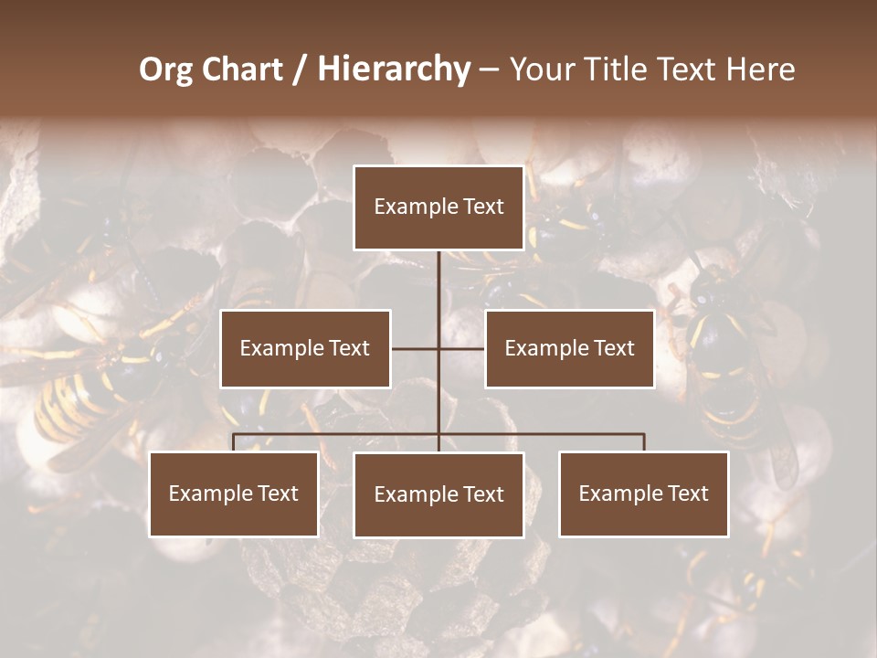 Paris Spring Surfing PowerPoint Template