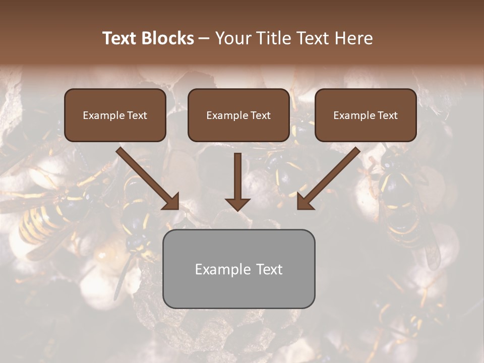 Paris Spring Surfing PowerPoint Template