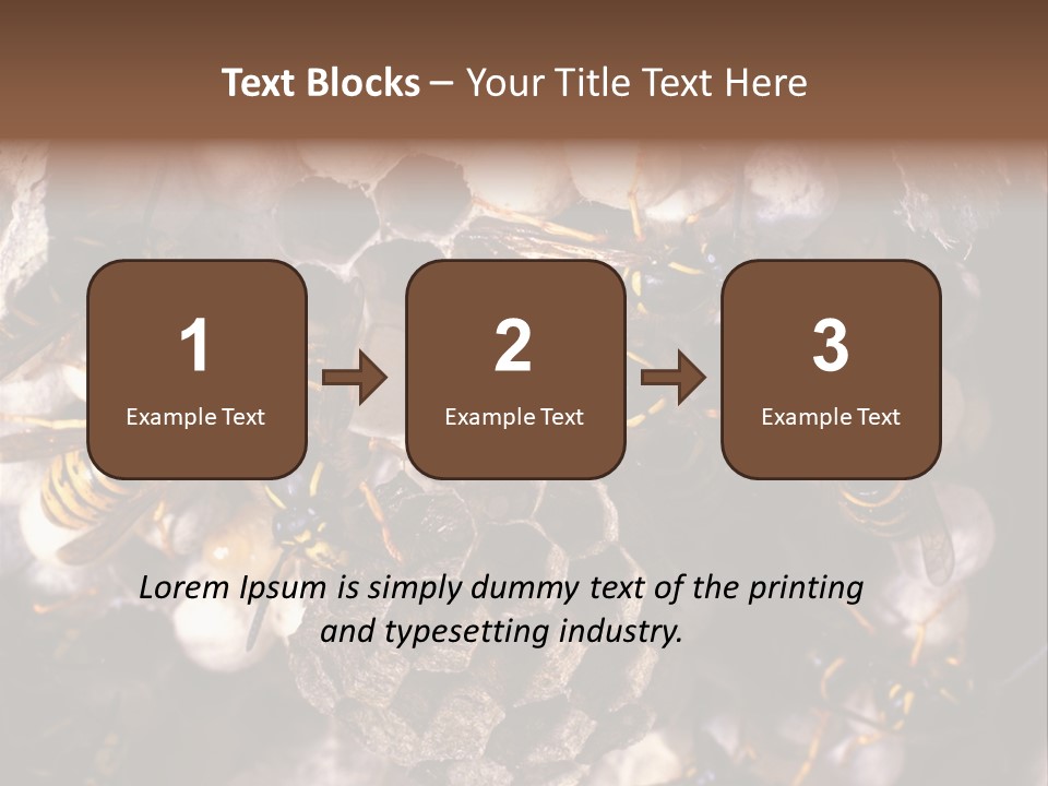 Paris Spring Surfing PowerPoint Template