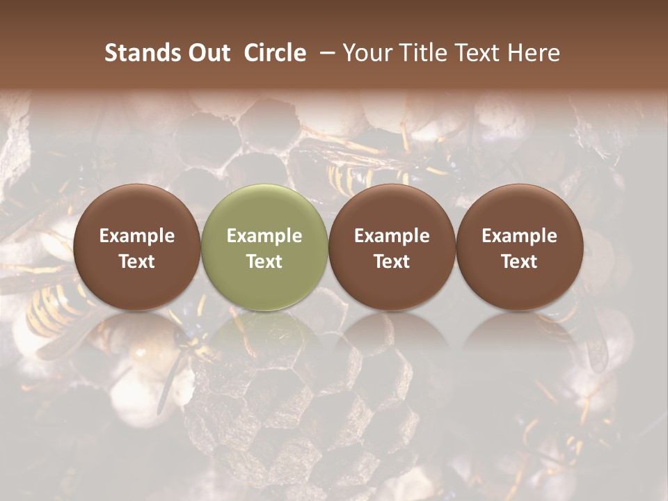 Paris Spring Surfing PowerPoint Template