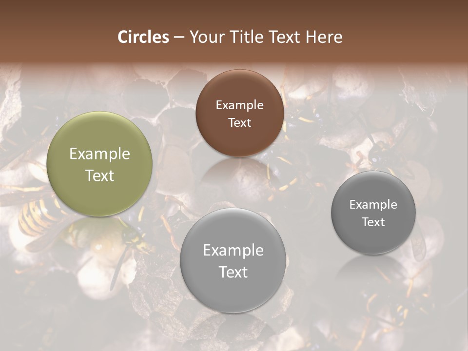 Paris Spring Surfing PowerPoint Template