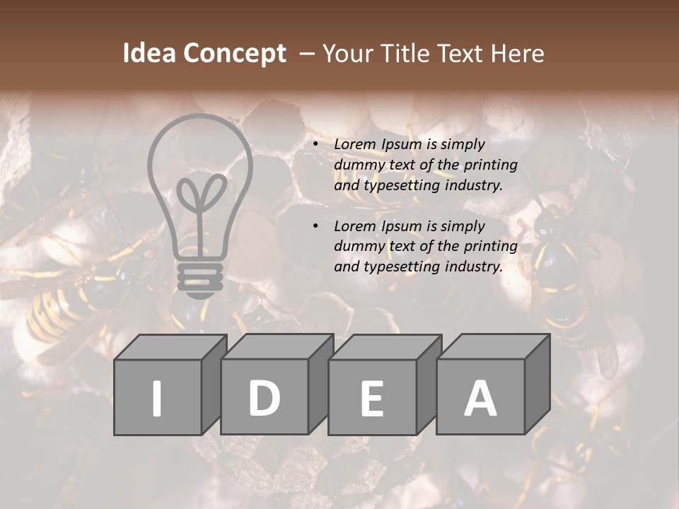 Paris Spring Surfing PowerPoint Template