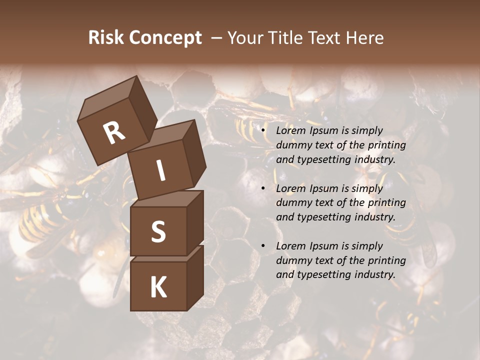 Paris Spring Surfing PowerPoint Template