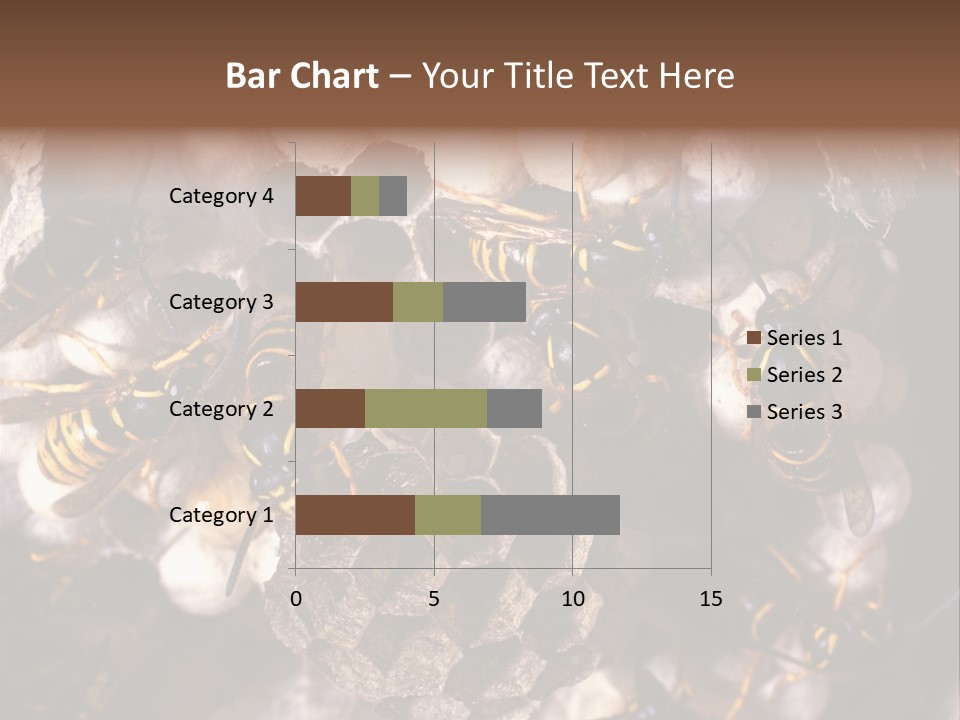 Paris Spring Surfing PowerPoint Template