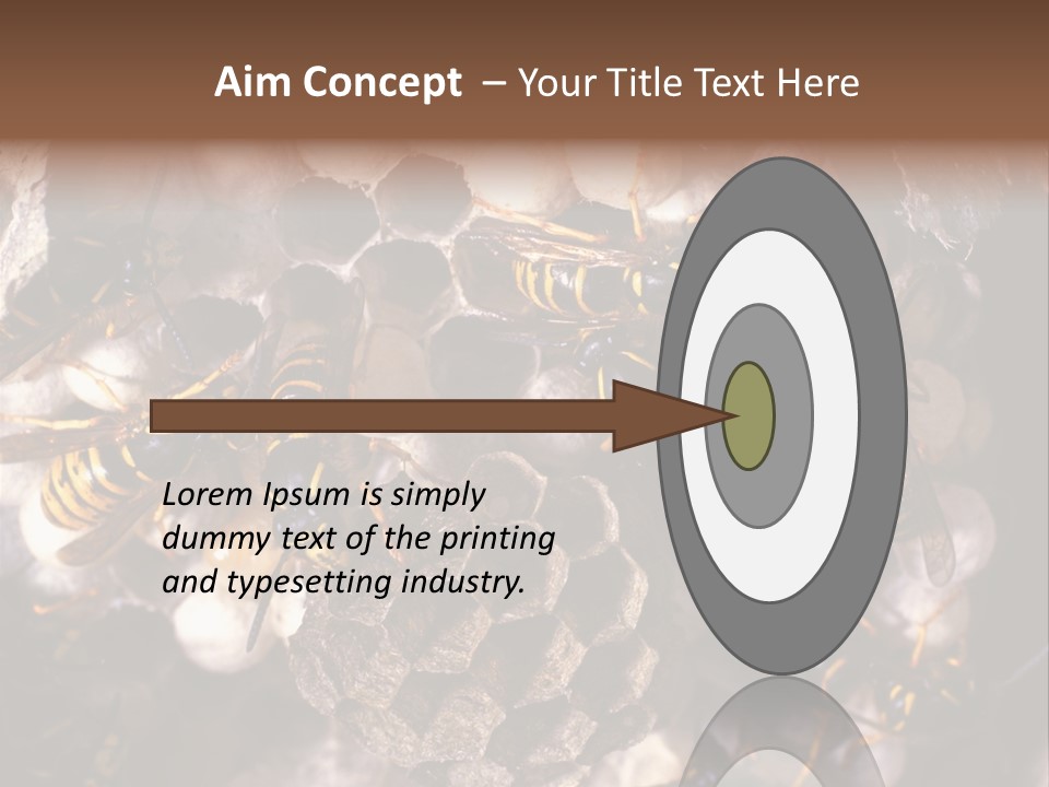 Paris Spring Surfing PowerPoint Template