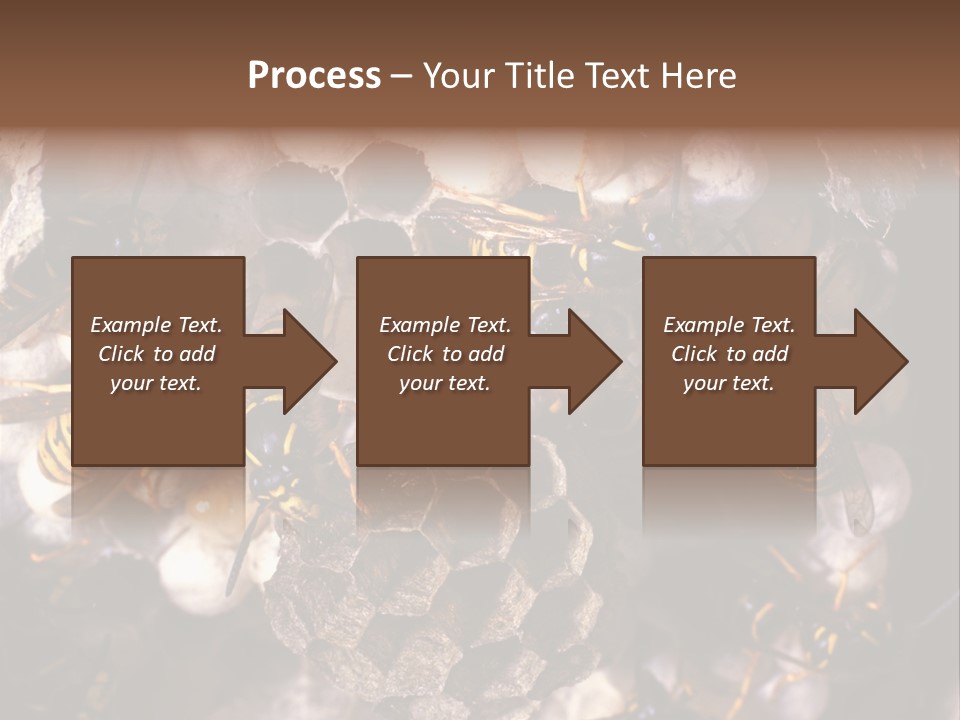 Paris Spring Surfing PowerPoint Template