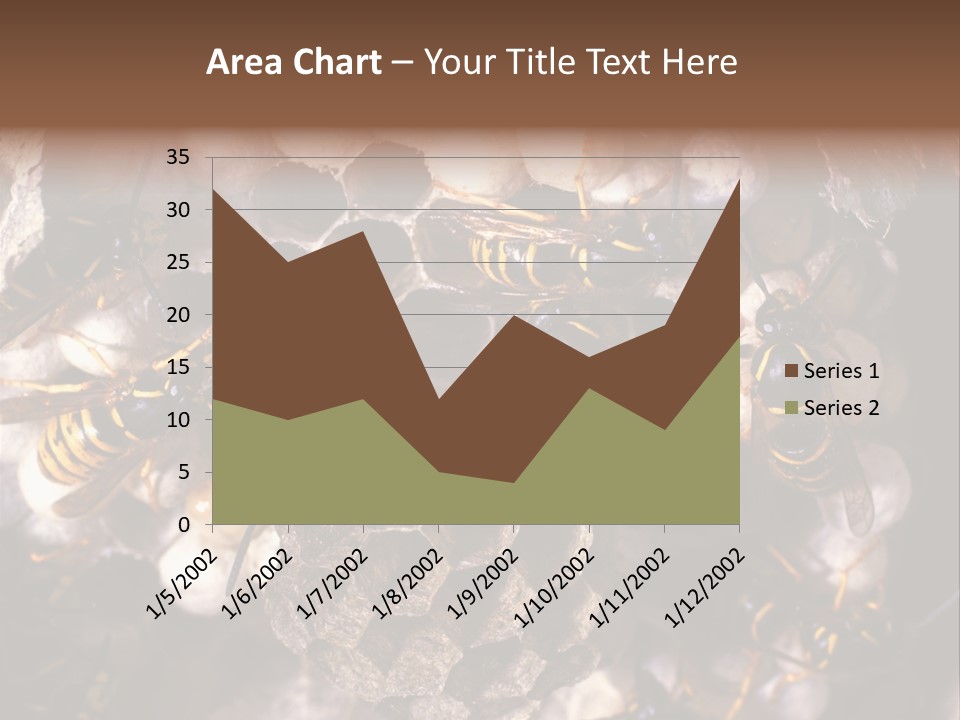 Paris Spring Surfing PowerPoint Template