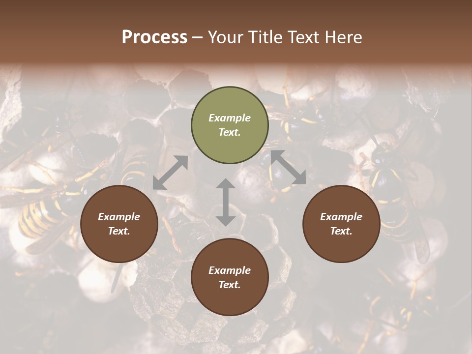 Paris Spring Surfing PowerPoint Template