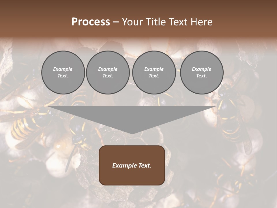 Paris Spring Surfing PowerPoint Template