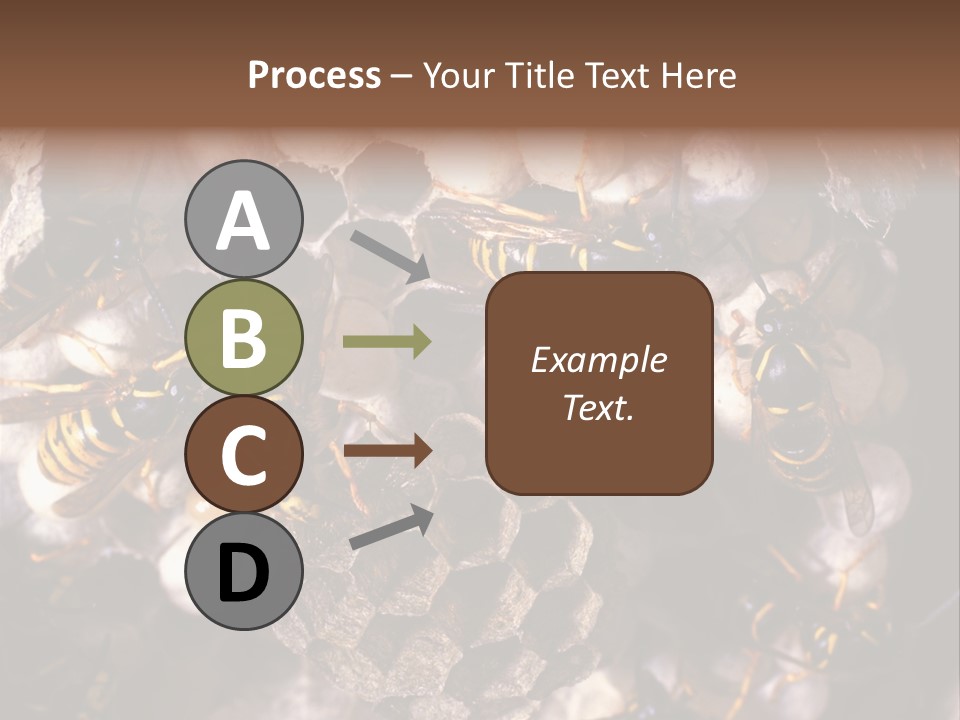 Paris Spring Surfing PowerPoint Template