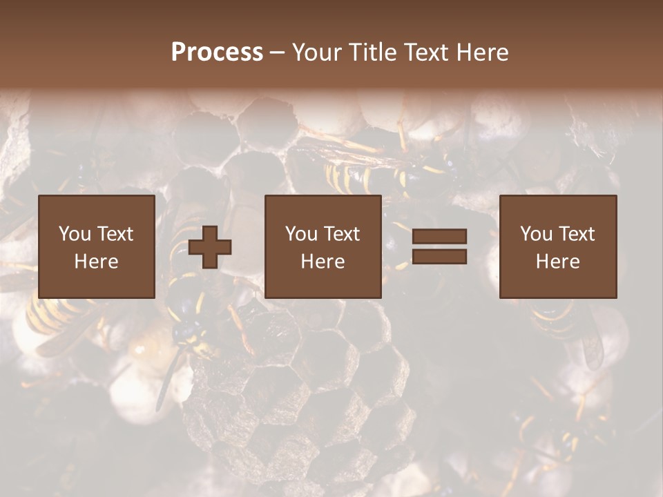 Paris Spring Surfing PowerPoint Template