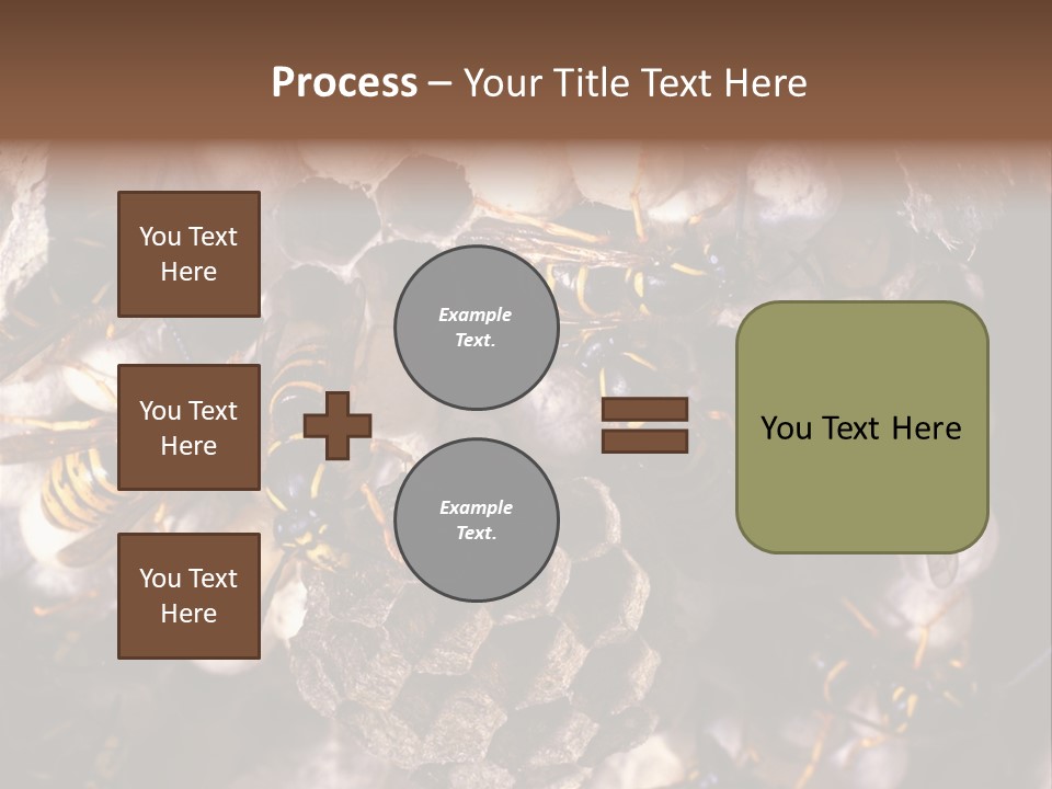 Paris Spring Surfing PowerPoint Template