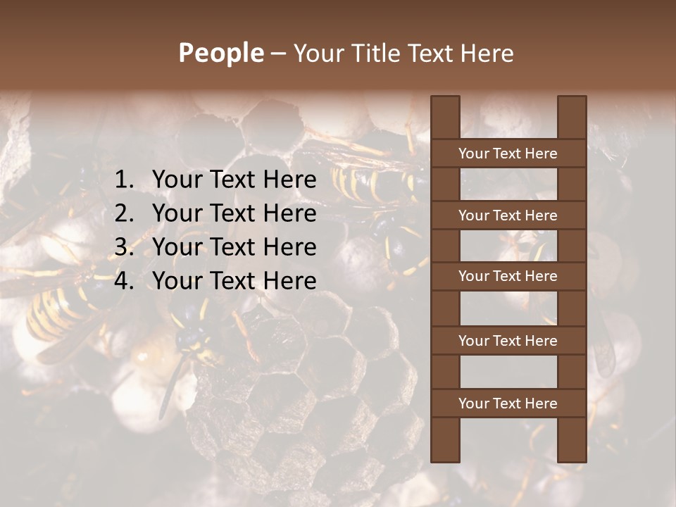 Paris Spring Surfing PowerPoint Template