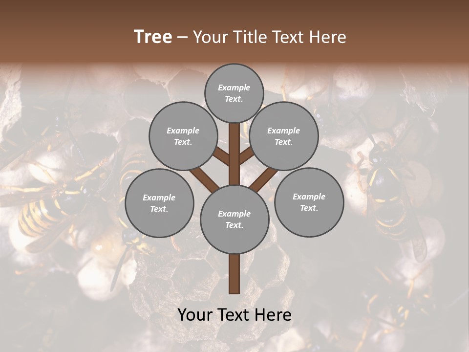 Paris Spring Surfing PowerPoint Template