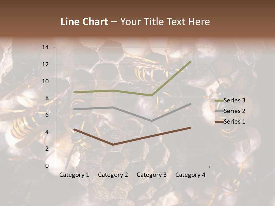 Paris Spring Surfing PowerPoint Template