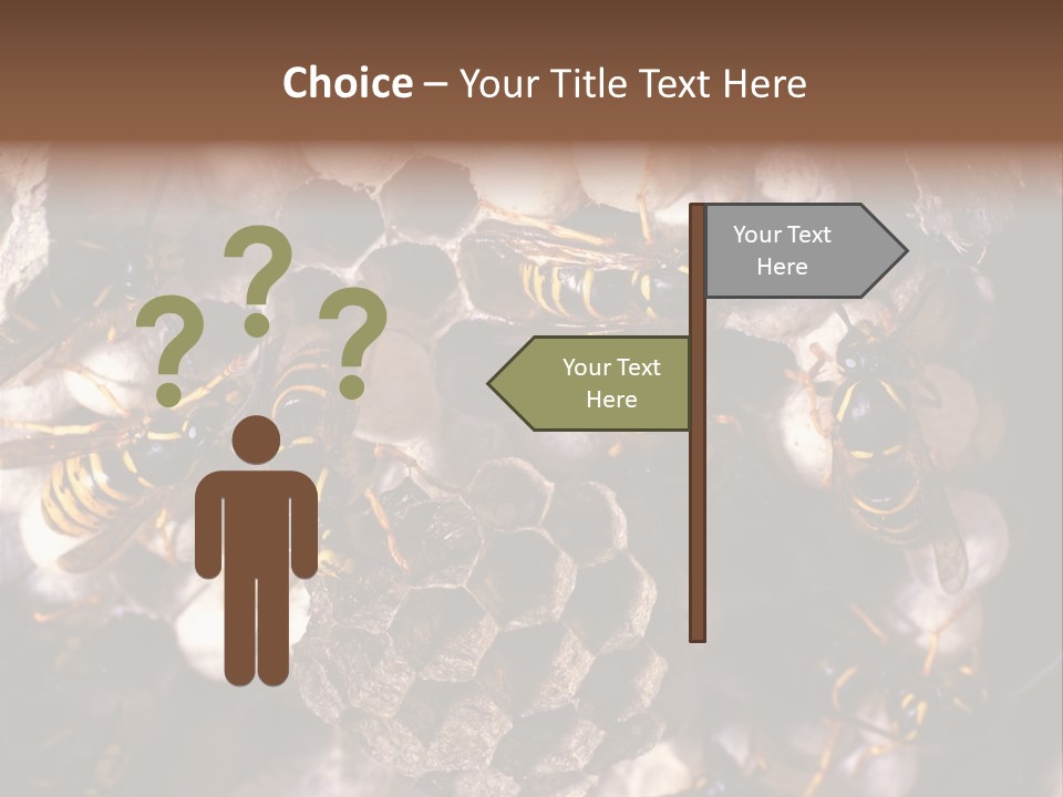 Paris Spring Surfing PowerPoint Template