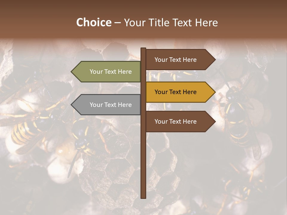 Paris Spring Surfing PowerPoint Template