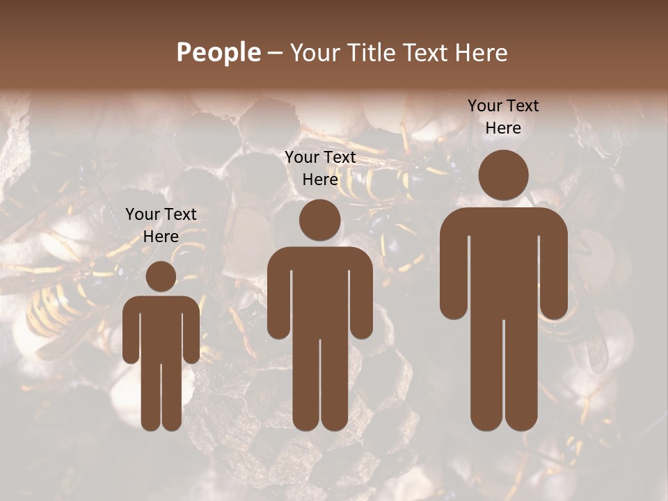 Paris Spring Surfing PowerPoint Template